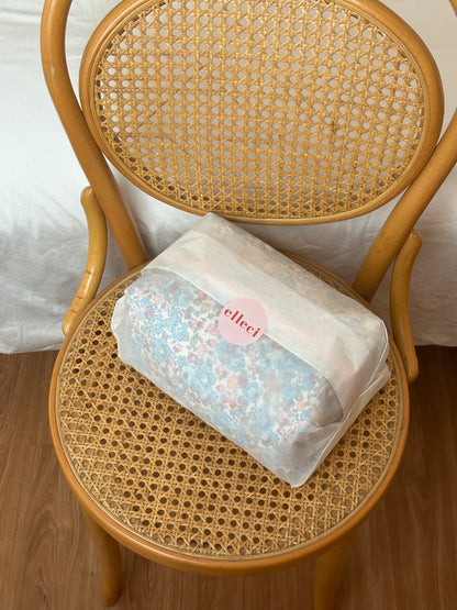 Big Beauty Case